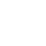 Professional icon